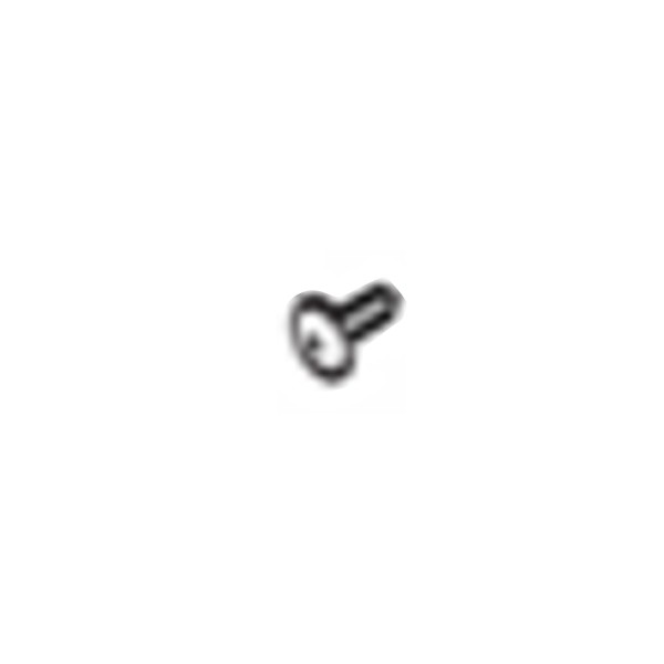 Viking Access Replacement Cover Screw for X-9 Swing Gate Openers (Pair) - VAX9CS