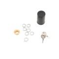 Viking Access E-4 Residential Swing Gate Opener (Actuator Only) - VA-E4