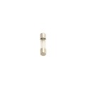 Viking Access 20 Amp Fuse for H-10 Slide Gate Openers - VNXF20A