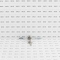 Viking Access Gate Openers Replacement Lock Cylinder and Keys For Slide Gate Openers - VNXSLCL (Default)